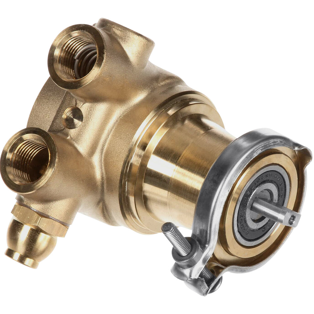 Multiplex 00702917 Pump 070 Gph Brass W/170