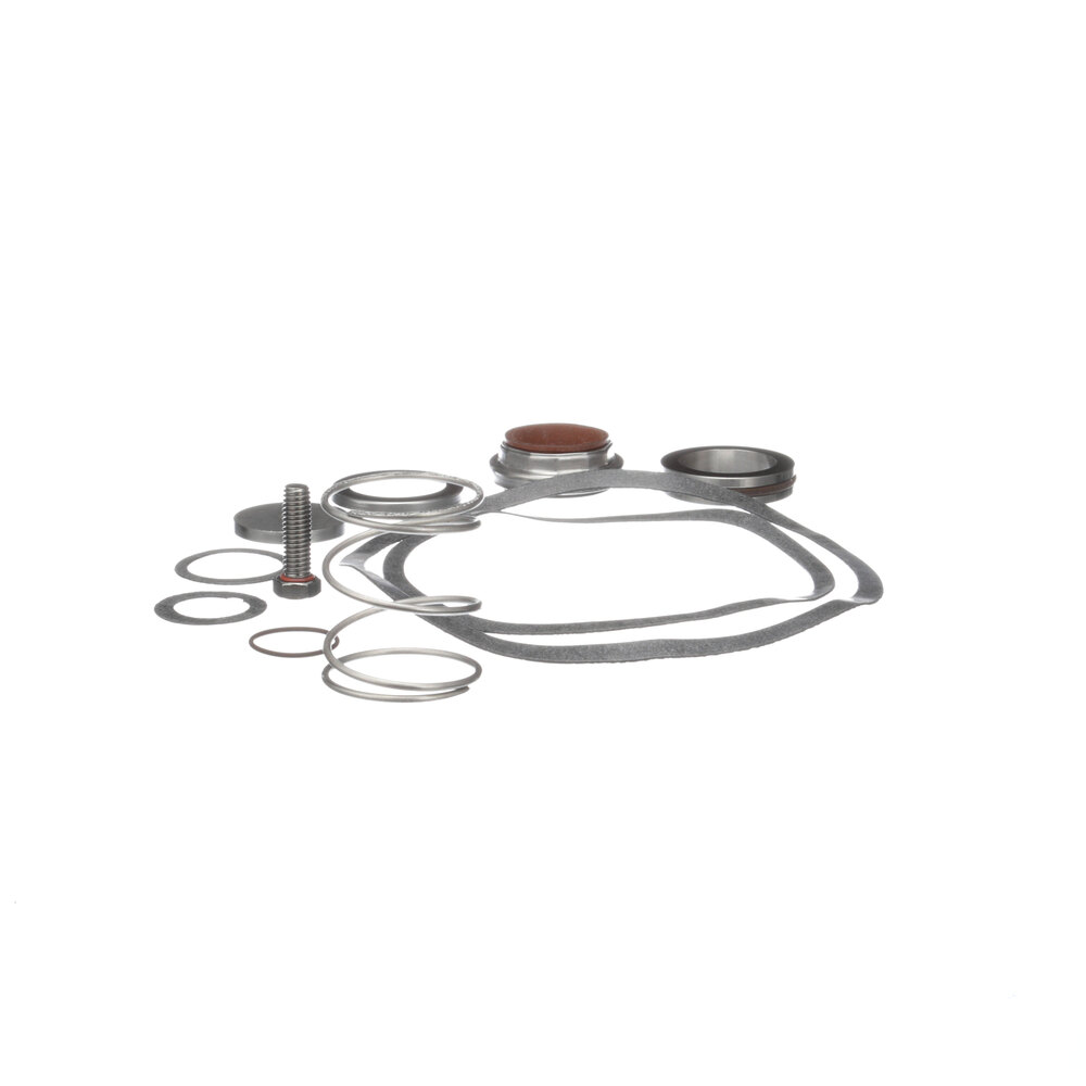 Pump Seal Kit for POWERSOAK 24463 FREE SHIPPING