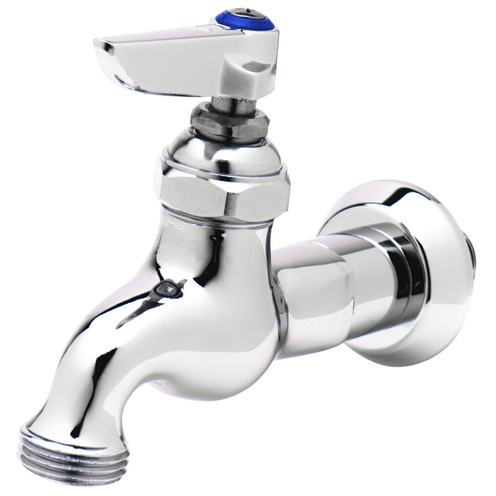 T&S B0717 Single Sink Faucet with 1/2" NPT Male Inlet, Lever Handle