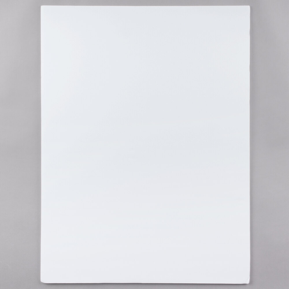 Elmer's 950023 18" x 24" White Polystyrene Foam Board 2/Pack