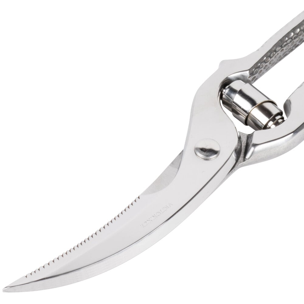 10 inch Poultry Shears - Commercial Grade - Stainless Steel - Perfect for