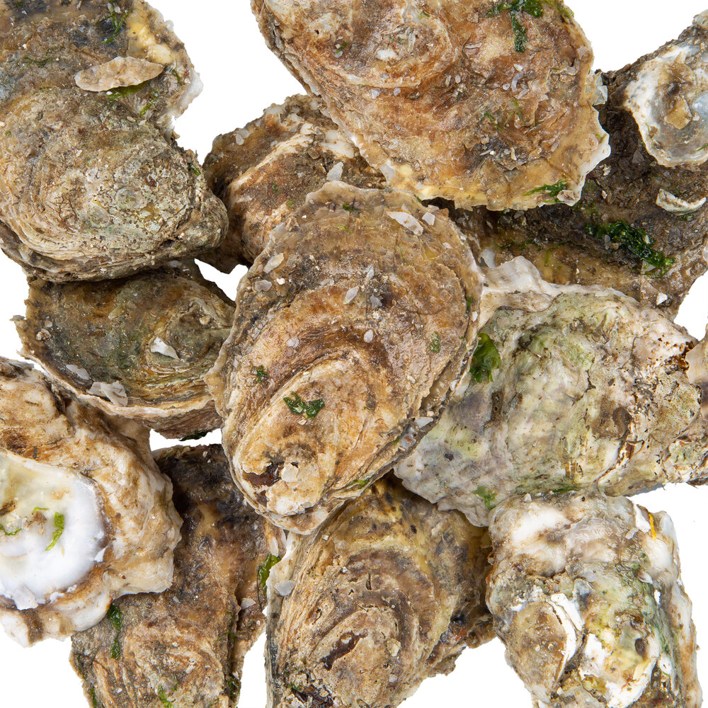 Linton's Seafood Live Oysters in the Shell 100/Case