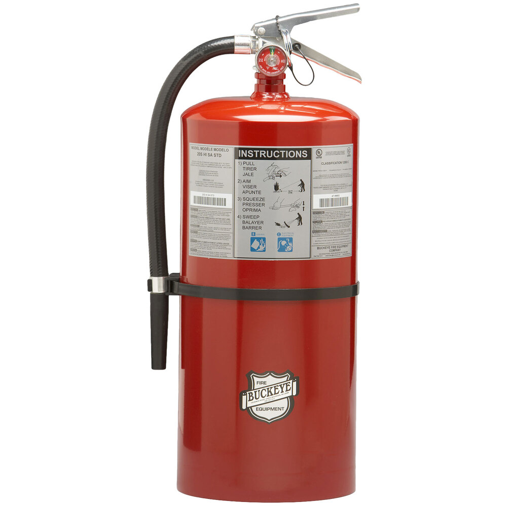 Buckeye 20 lb. Standard Dry Chemical Fire Extinguisher with Wall Mount