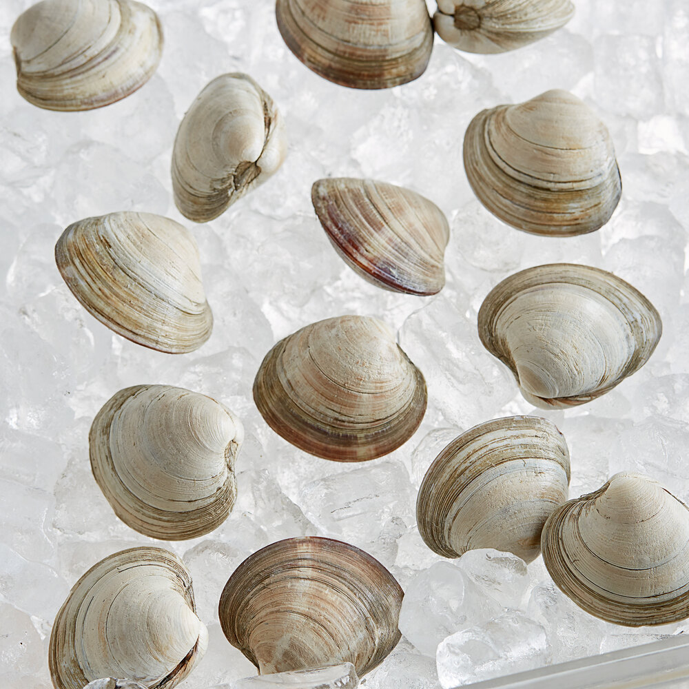 Rappahannock Oyster Co. 100 Count Live Olde Salt Middleneck Clams