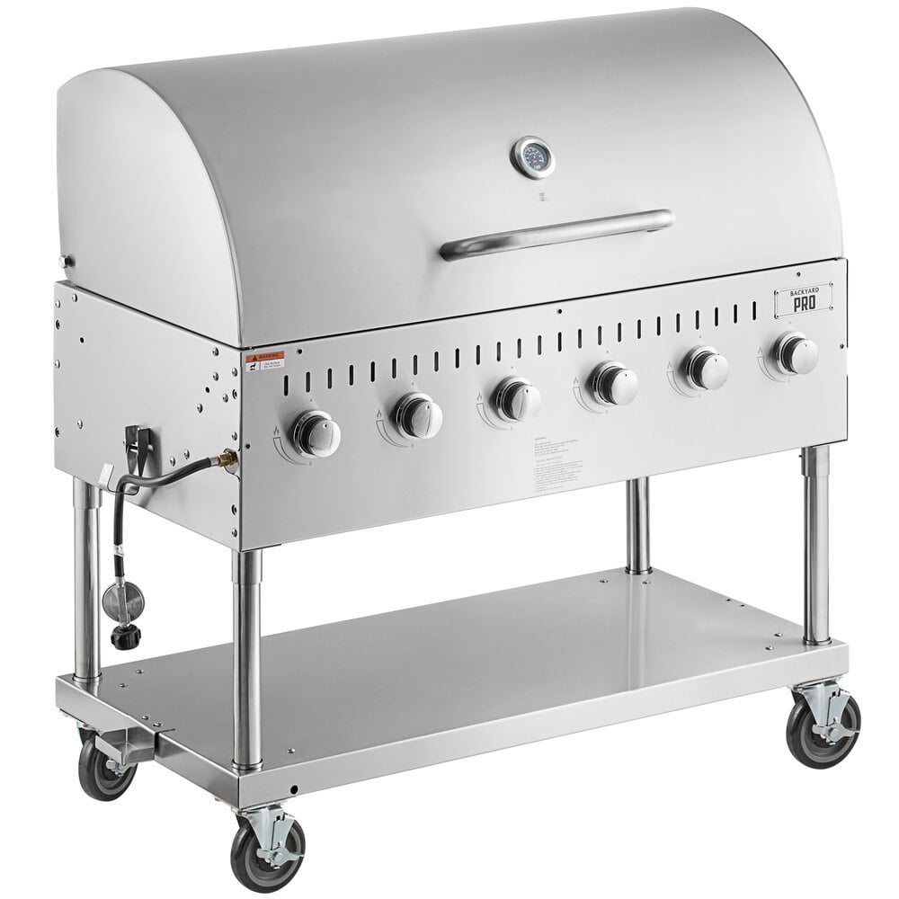 Backyard Pro 554SMOKR60AS 60 Charcoal / Wood Smoker Grill with Adjustable  Grates and Dome - Assembled