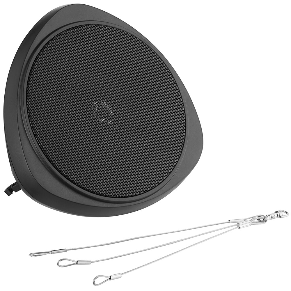 Speco Technologies RMS 5" Black Pendant Speaker with Hanging Chain