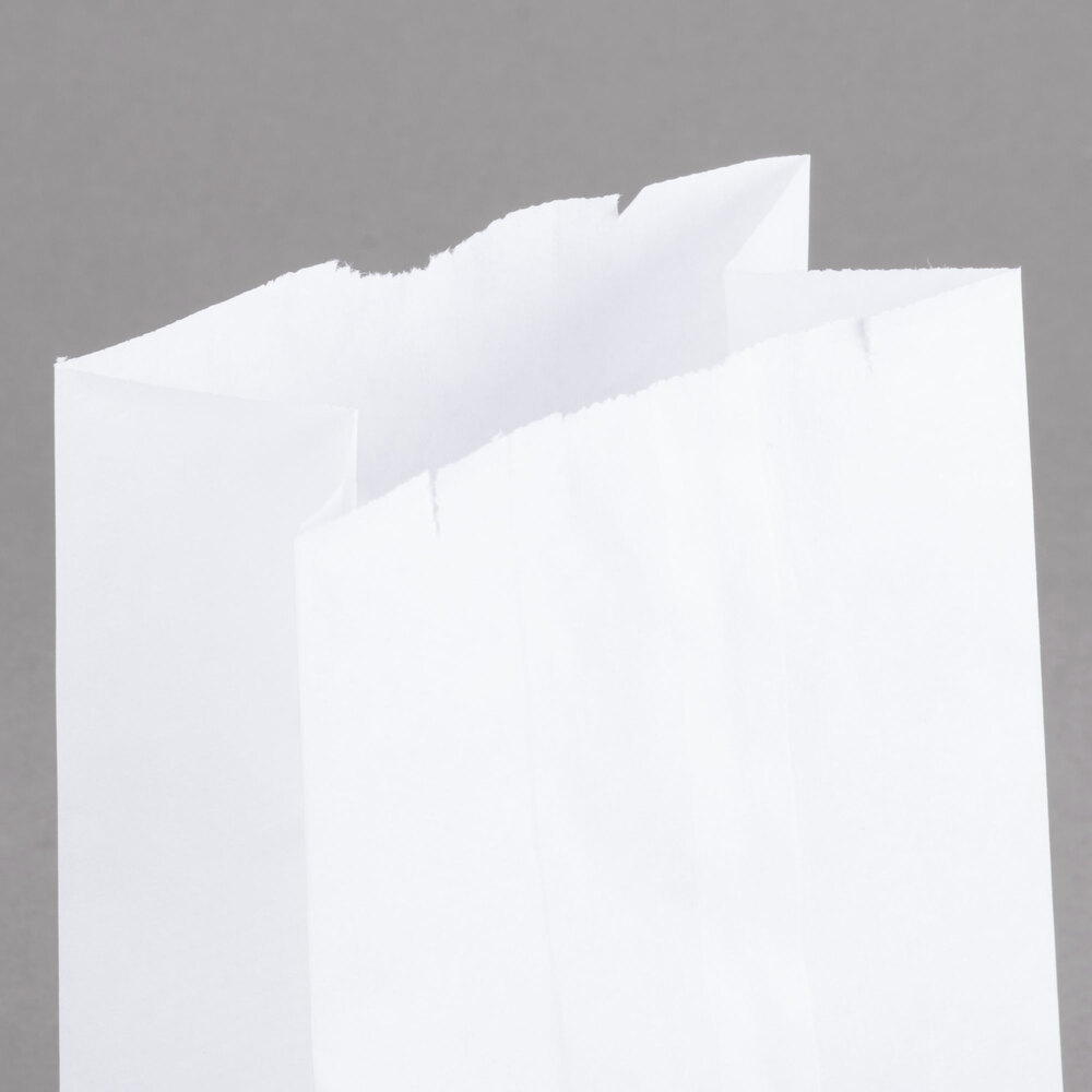 Duro 3 lb. White Paper Bag - 500/Bundle