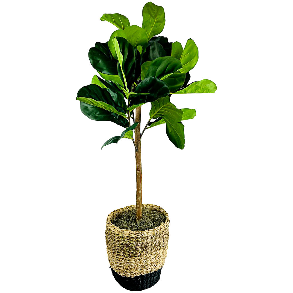 LCG Sales 3' Artificial Fig Tree in TriColor Basket