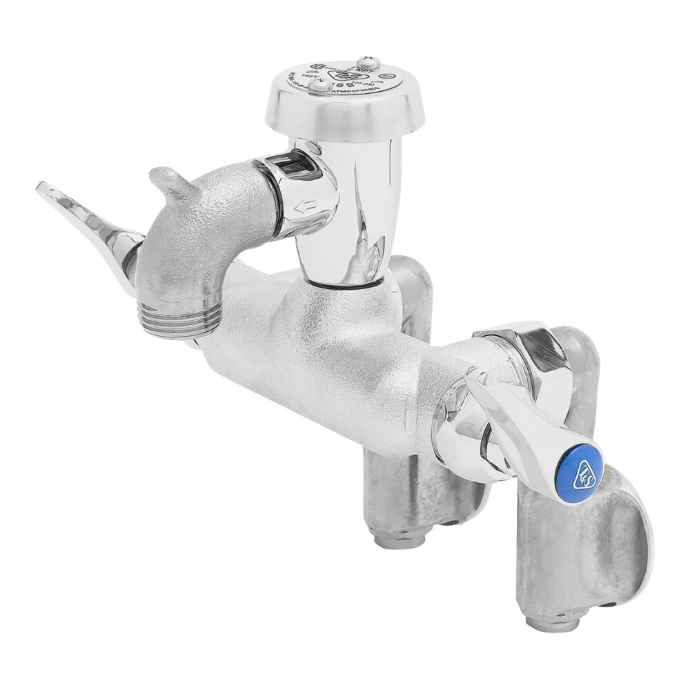 T&S B066902 Wall Mount Rough Chrome Service Sink Faucet with 4