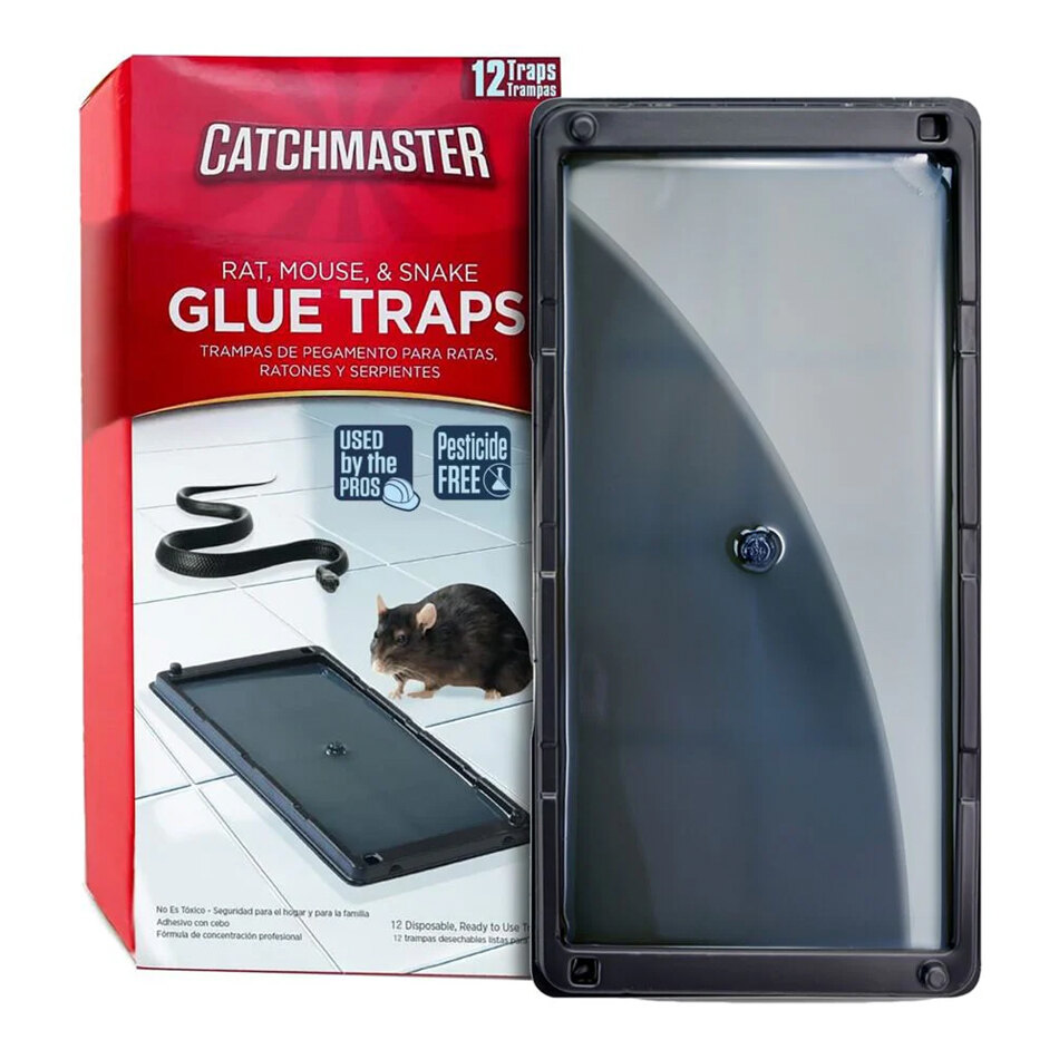 Catchmaster 402SD Rat, Mouse, and Snake Glue Trap - 24/Case