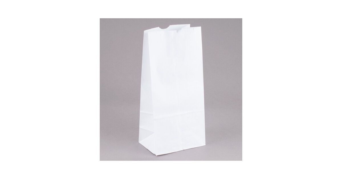 Paper Lunch Bags 10 Lb White Paper Bags 10LB Capacity - Kraft White Paper  Bags, Bakery Bags, Candy Bags, Lunch Bags, Grocery Bags, Craft Bags - #10