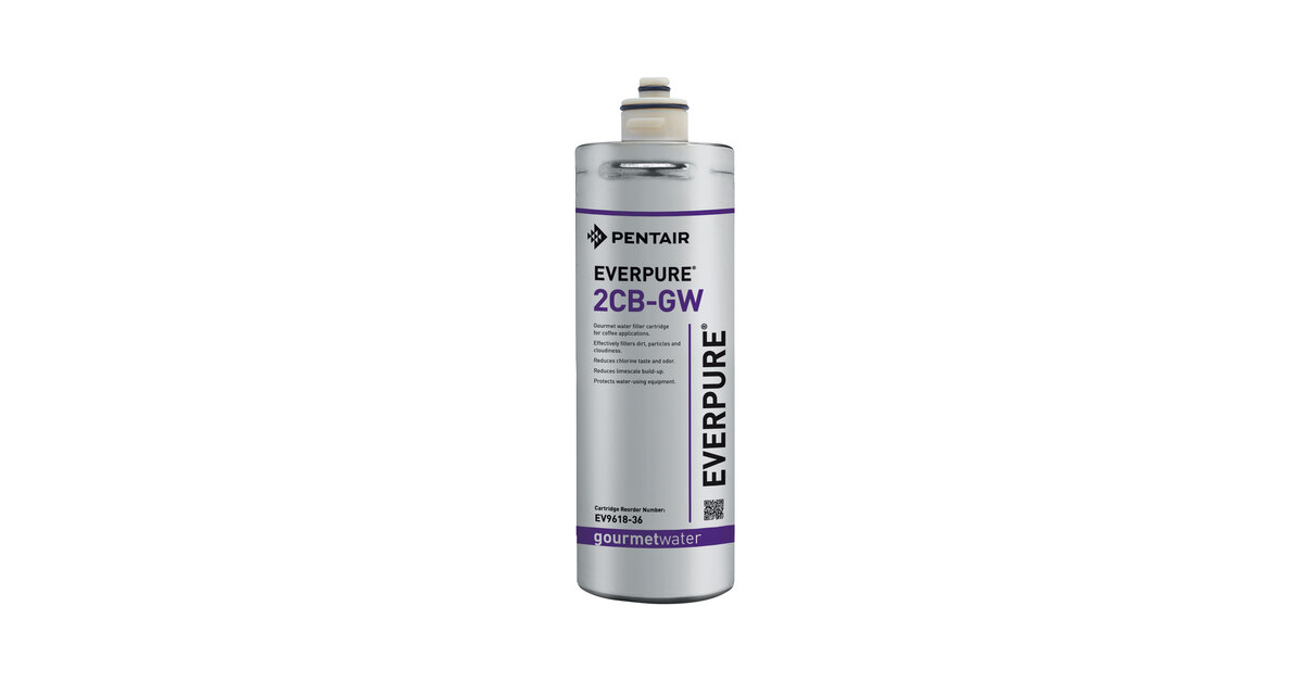 Everpure EV961836 2CB-GW Filter Cartridge - 10 Micron Rating and