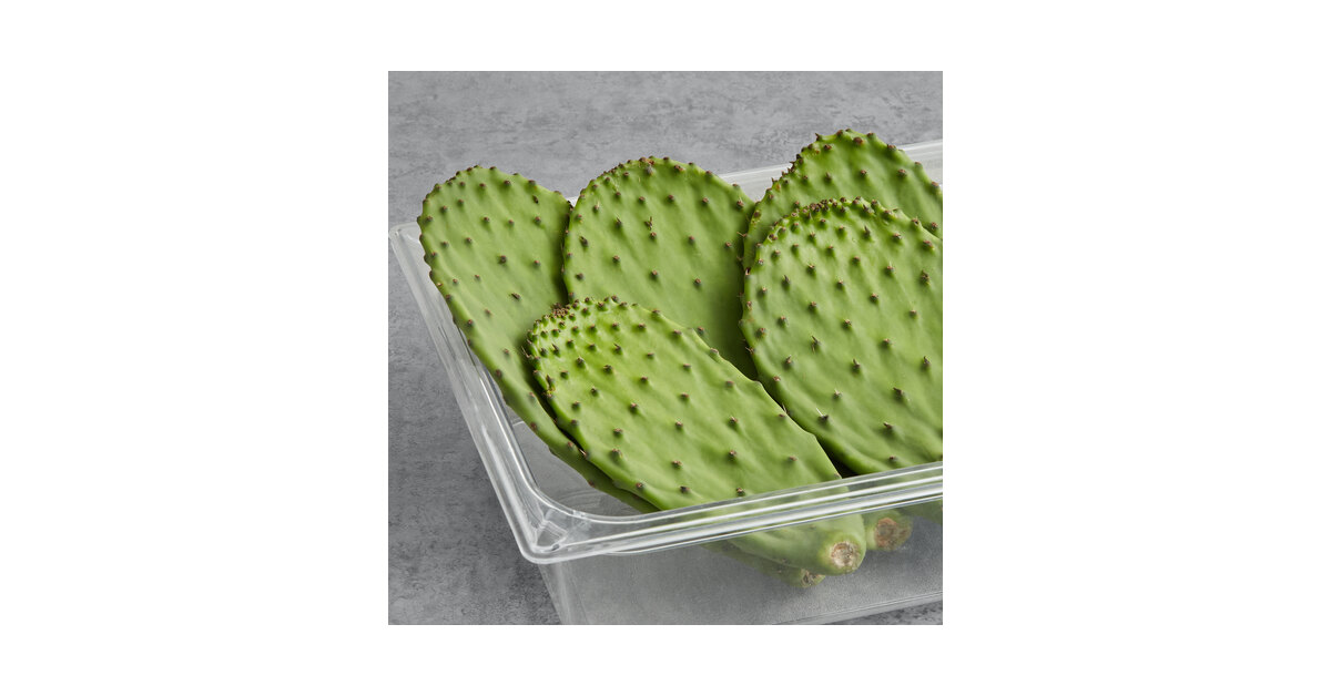 canyon endurace cold cactus Prickly Pear Cactus 'Grand Canyon' (O. dulcis x) COLD HARDY – Desertscape  Nursery main image 1