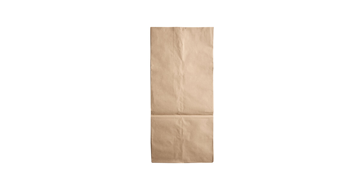 Duro 30 Gallon Self-Standing 2-Ply Natural Kraft Paper Lawn and Leaf Bag  13818 - 50/Case