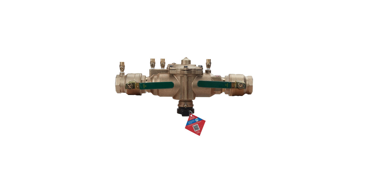 Watts 88004115 LF009M2-QT-FS 2