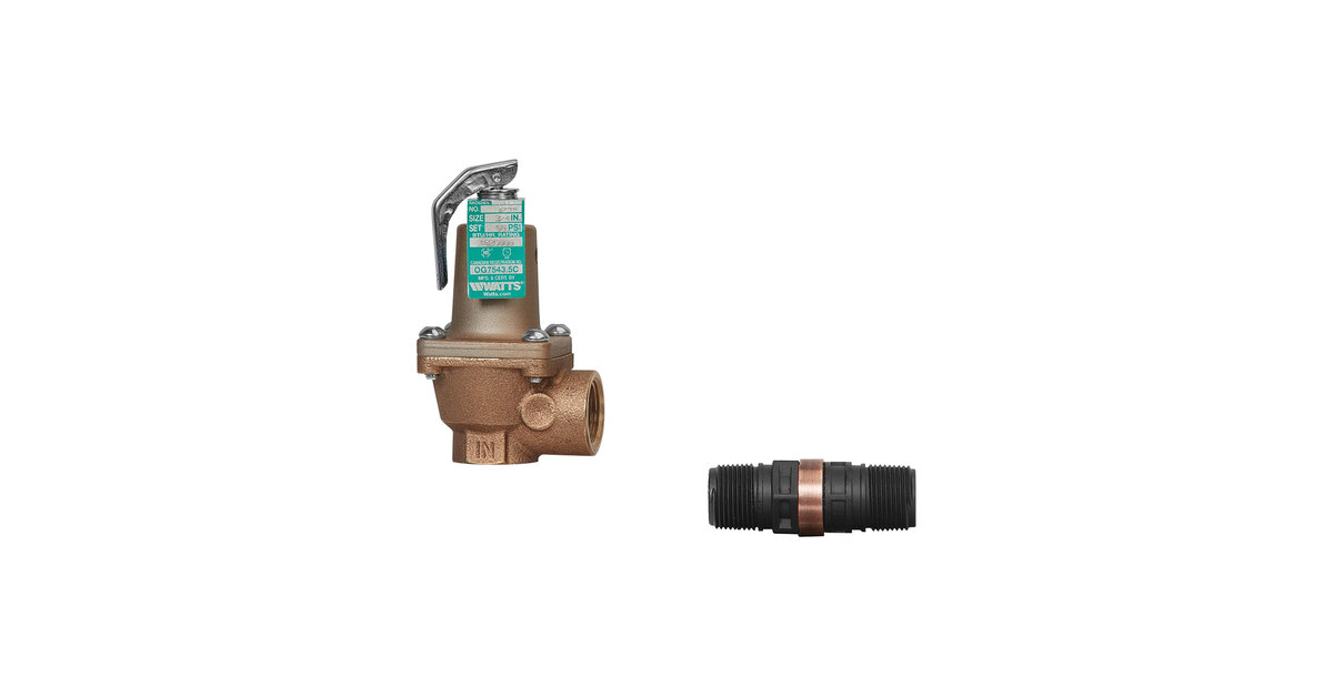 Watts F274598 174A Series 3/4