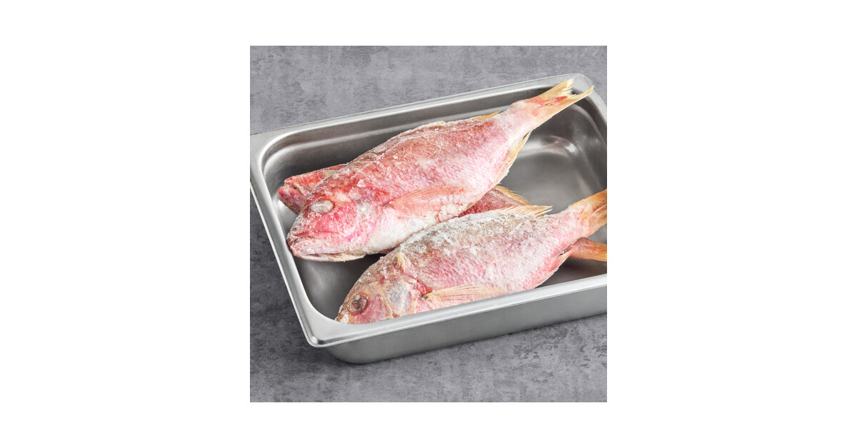 Deep Sea Atlantic 12-16 oz. Whole Caribbean Red Snapper 10 lb.