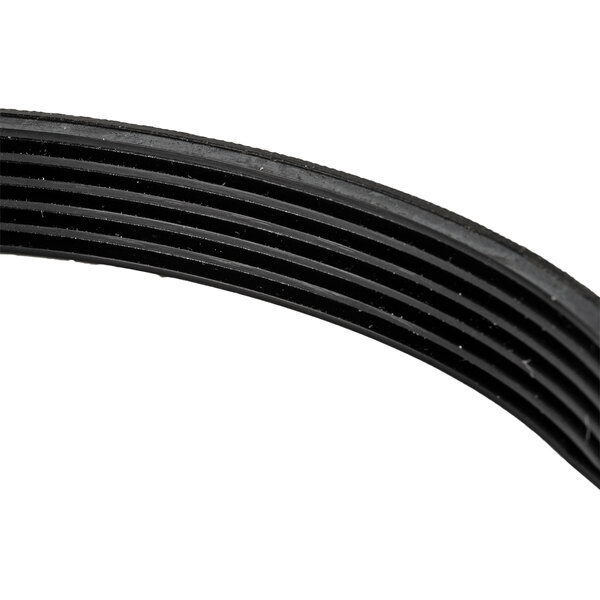 A black rubber belt on a white background.