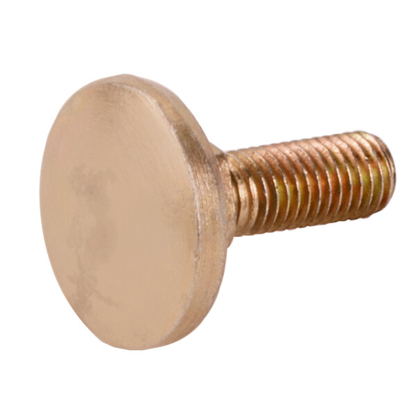 A close-up of a circular bolt with a gold finish.