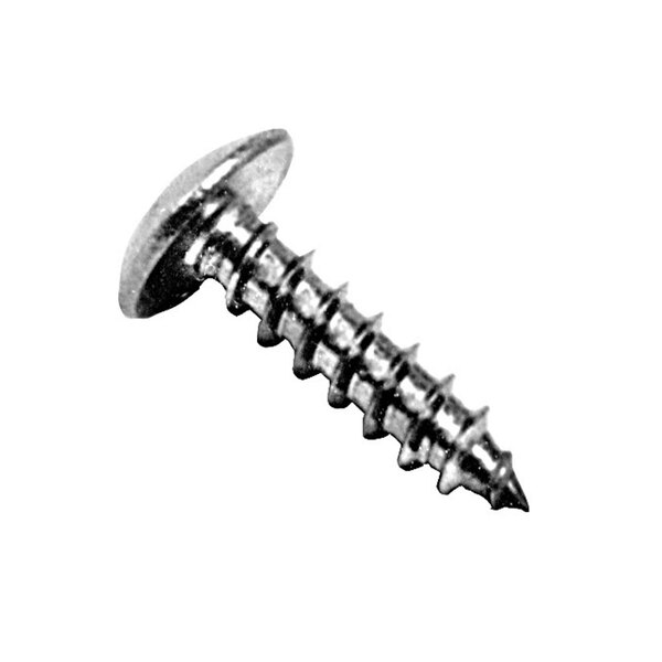 A close-up of a stainless steel Phillips truss head sheet metal screw.
