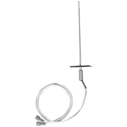 An All Points temperature probe with a long thin metal rod and wire.