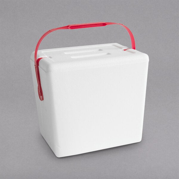 Small Foam Cooler w/ Handle - Holds (10) 12 oz. Cans