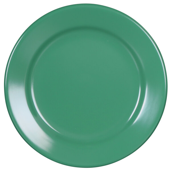 An Elite Global Solutions Rio Autumn Green melamine plate with a white rim.