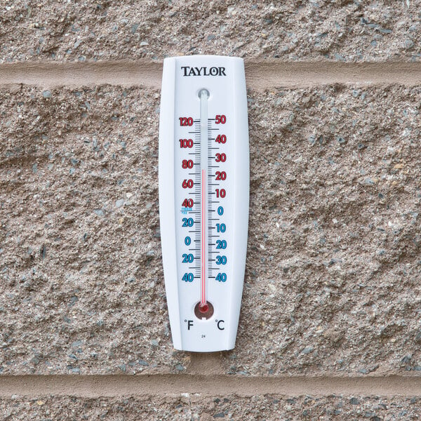 Taylor 5154 8" Wall Thermometer