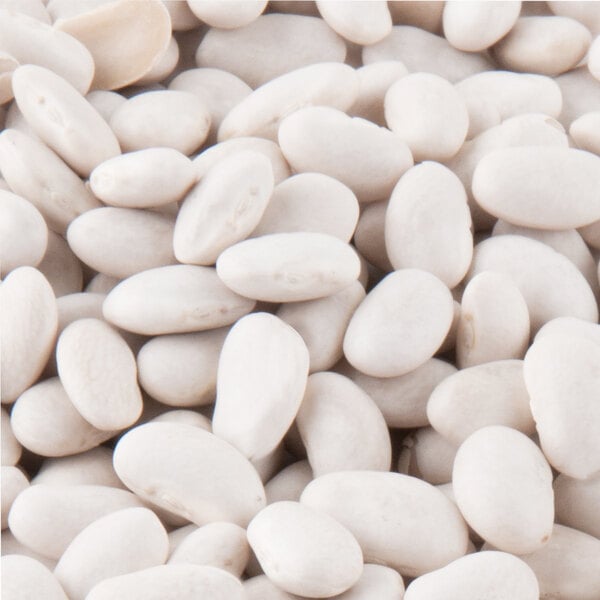 A pile of Dried Great Northern Beans on a white background.