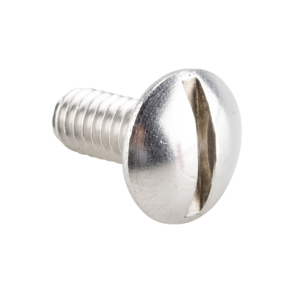 A close-up of a stainless steel Nemco 45134 screw.