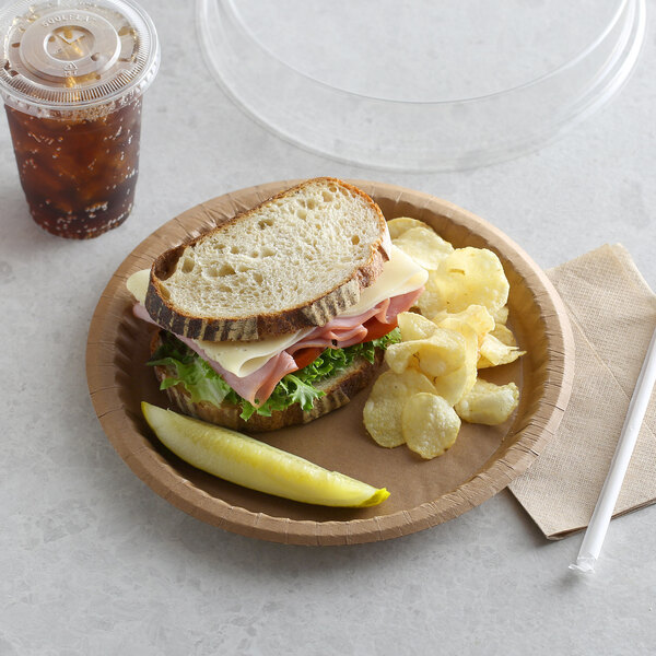 A Solut coated kraft paper plate with a sandwich, chips, and a drink with a straw on a table.