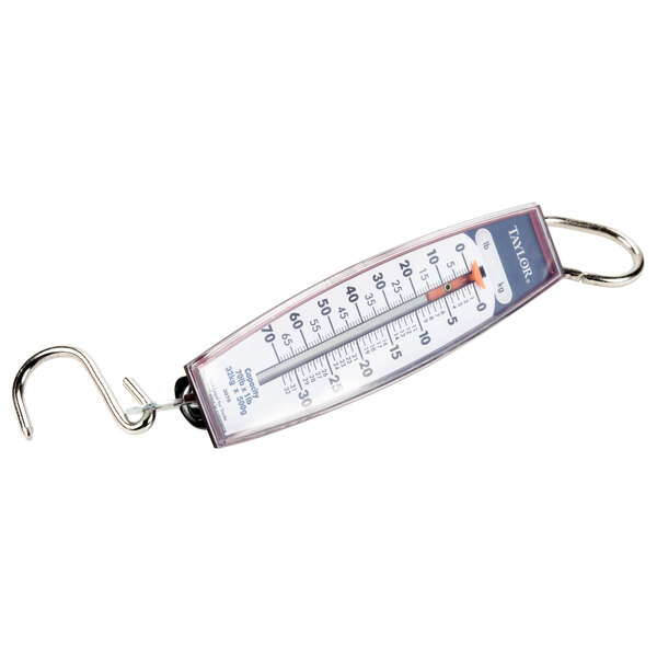 Taylor 3070 Industrial Hanging Spring Scale - 70 lb. x 1 lb.