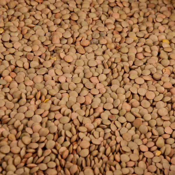 A pile of dried lentil beans.