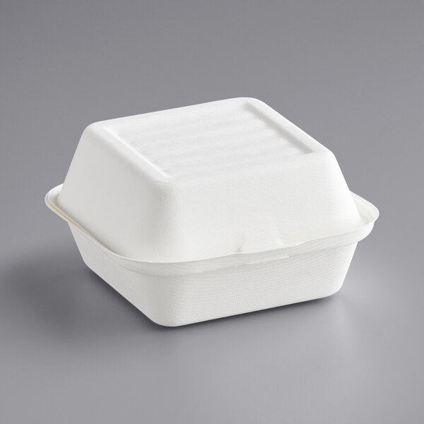 Foam To Go Containers
