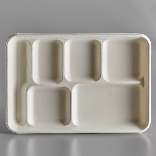Plastic Serving Platter, Divided Food Tray with 5 Compartments (6