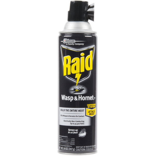A can of SC Johnson Raid Wasp and Hornet Killer spray with a black and yellow label.