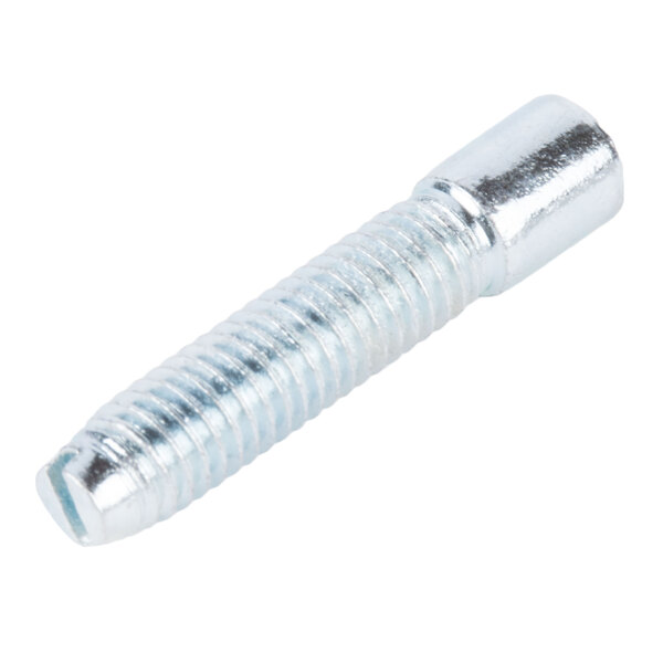 A close-up of a silver metal screw.