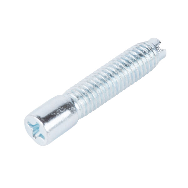 A close-up of a silver screw.