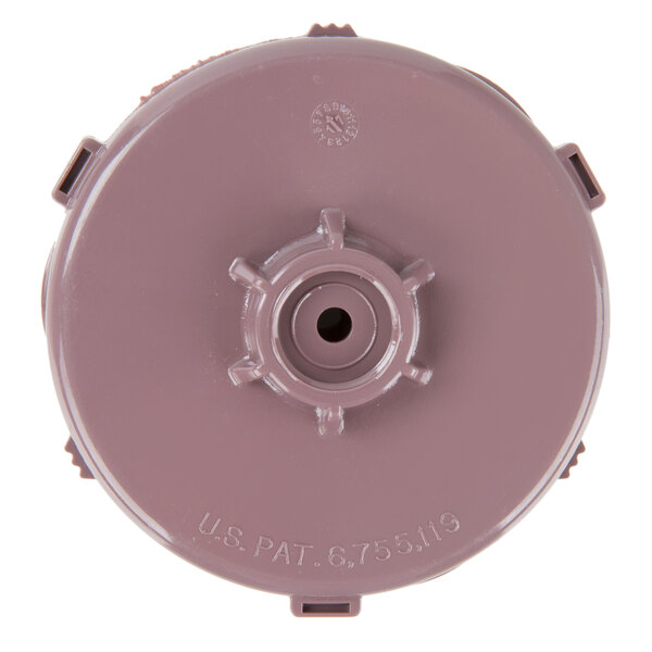 A purple plastic Curtis Advance Flow sprayhead with a circular hole.