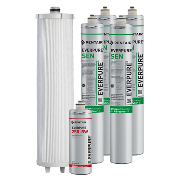 Several silver Everpure water filter cartridges with black and white labels.