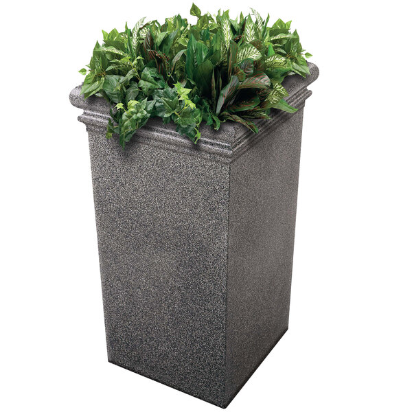A Commercial Zone Pepperstone tall planter with green plants growing out of it.