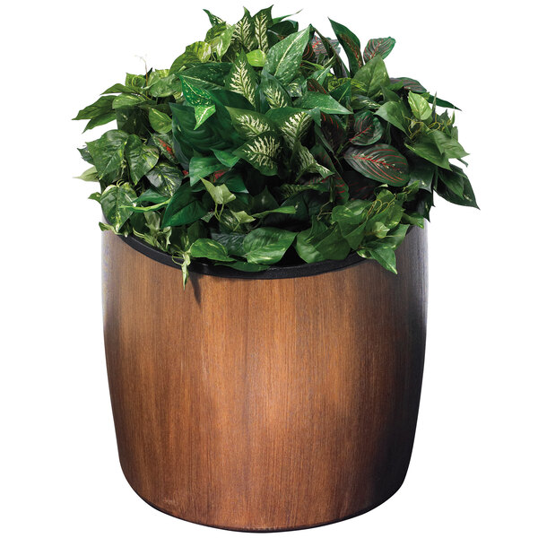 A Commercial Zone walnut elmwood planter with a potted plant with green leaves.