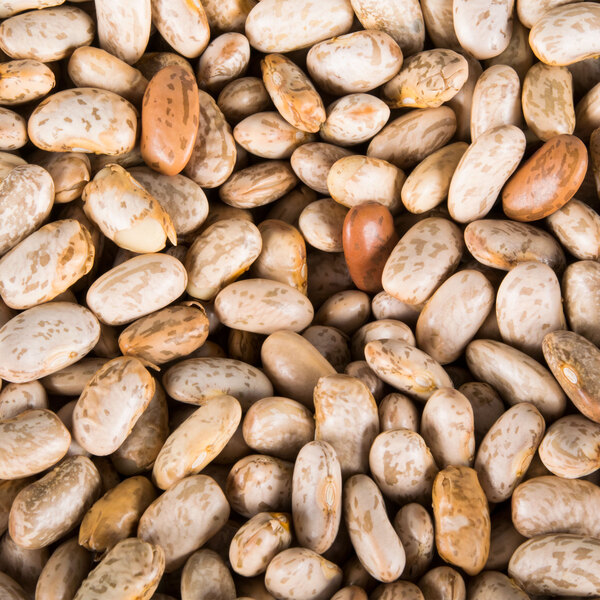 A close up of Organic Dried Pinto Beans.