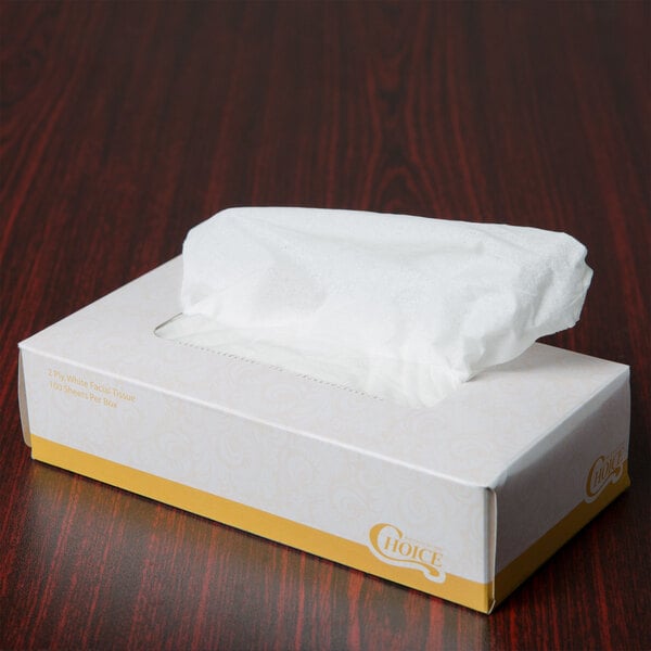 Choice 100 Sheet 2-Ply Facial Tissue Box - 30/Case
