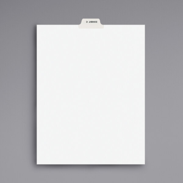 A white rectangular paper divider with a black border.