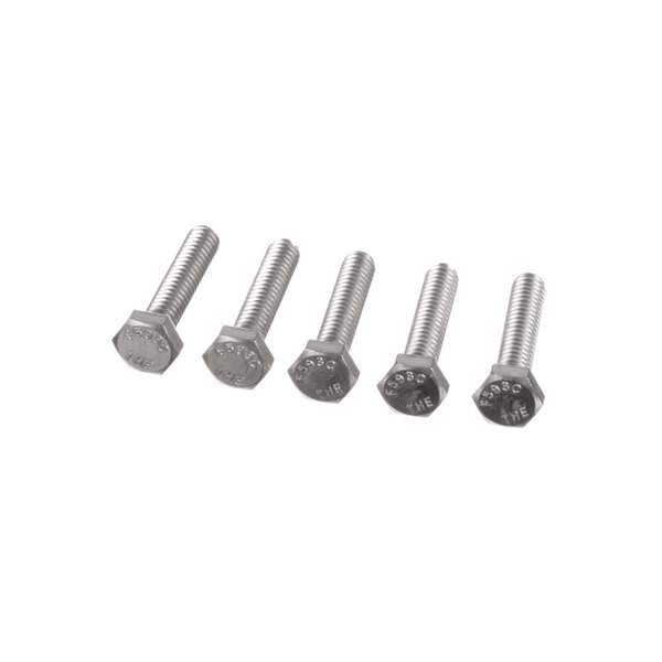 A group of stainless steel Frymaster bolts with hexagons.