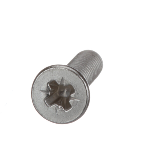 A close-up of a Merrychef screw with a pozi head.