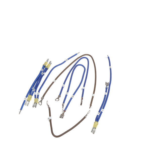A set of blue and brown wires with terminals.