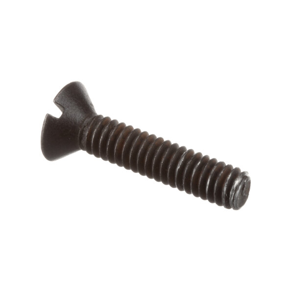 A close-up of a Blakeslee 12608 screw.