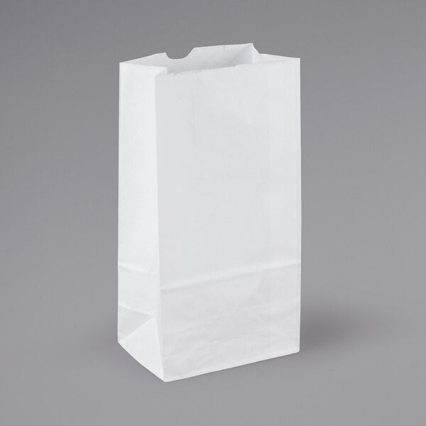 Bag Tek White Paper Bag - 6 lb - 6 x 3 1/2 x 10 3/4 - 100 count box